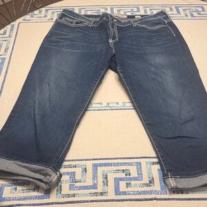 BKE Dark Blue Ankle Jeans